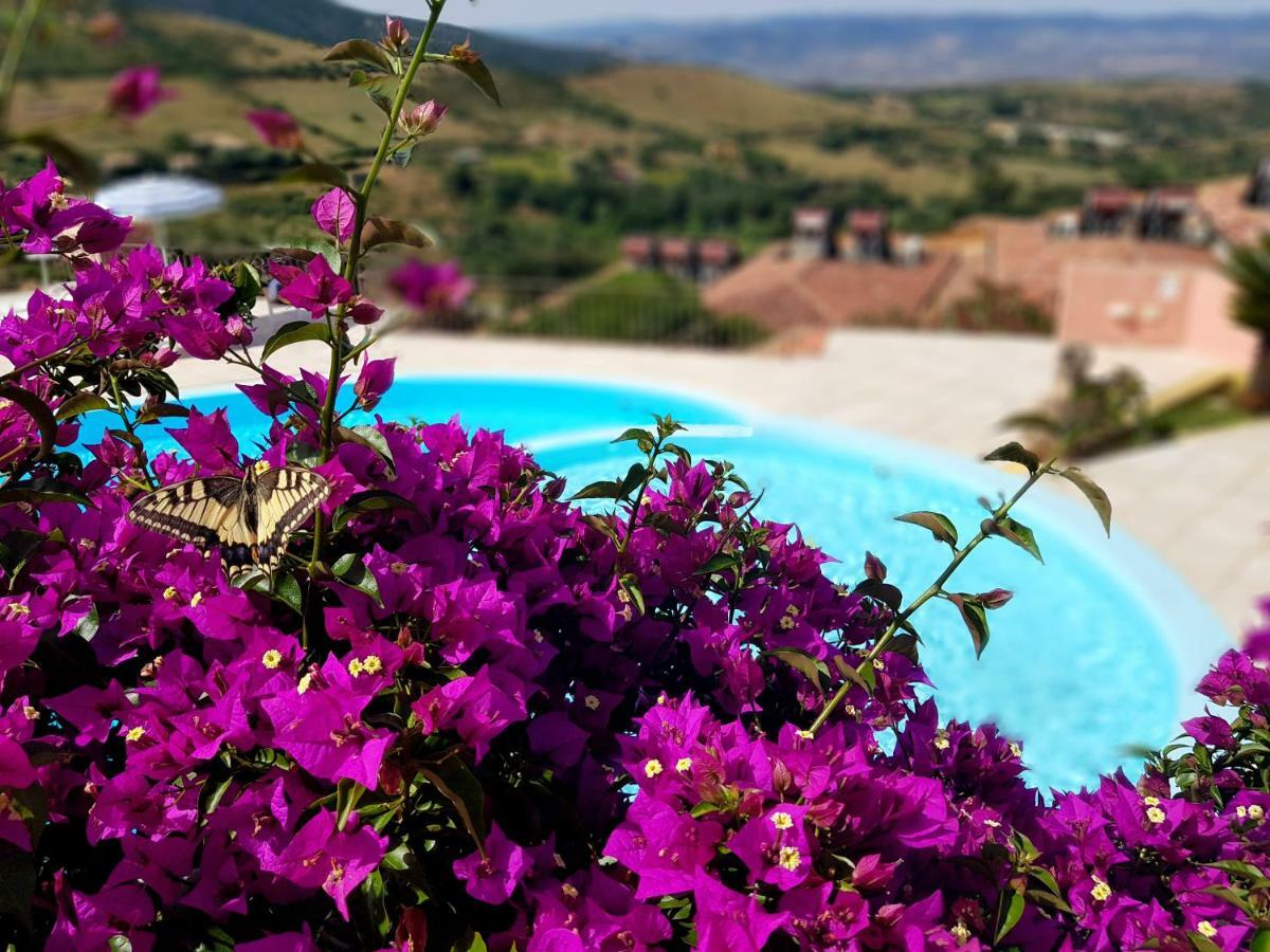 Residence Pala Stiddata With Panoramic Swimming Pool Trinità d'Agultu Eksteriør billede